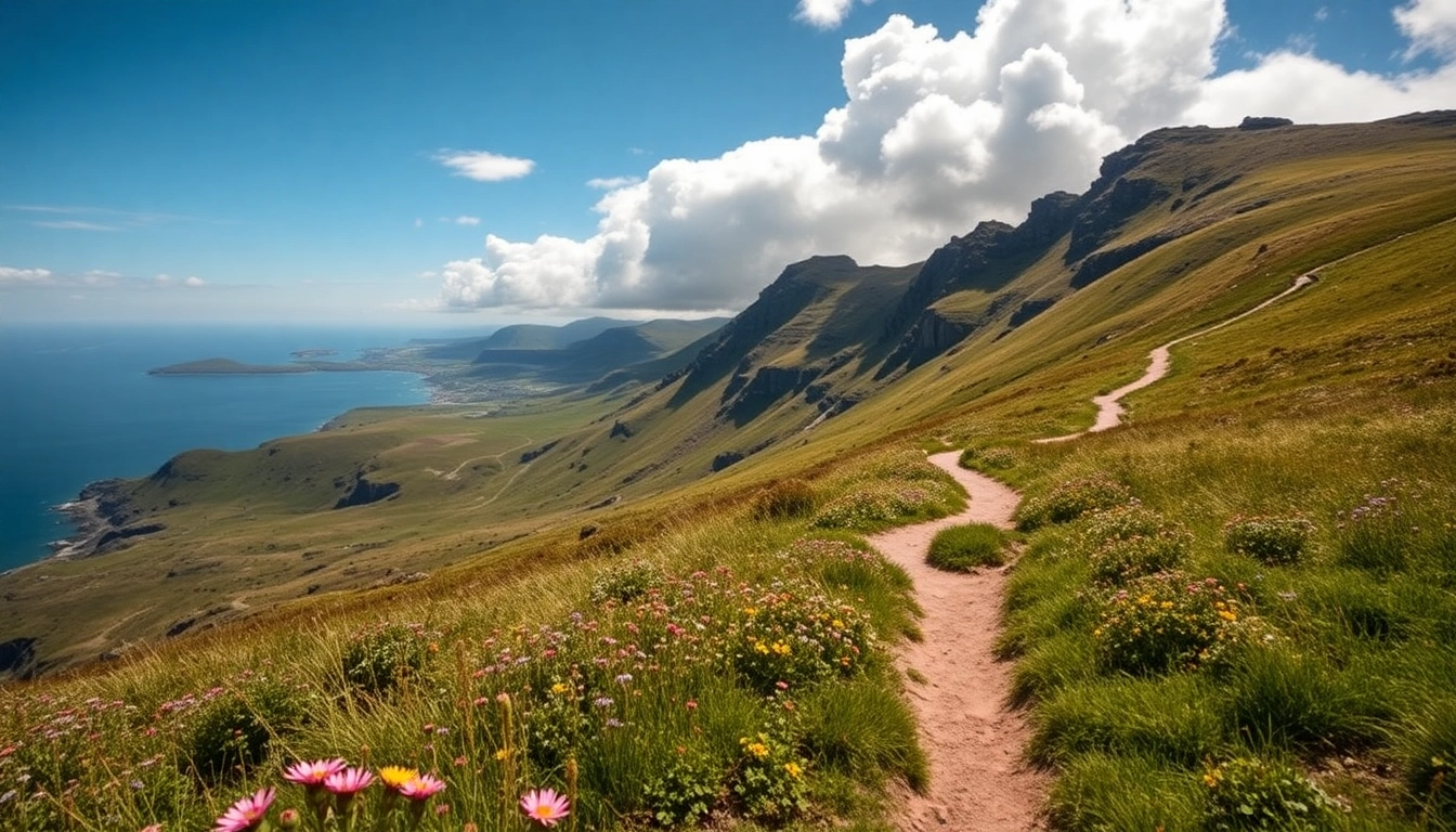 Dingle Way Fernwanderweg mit blühenden Wildblumen und dramatischem Küstenblick